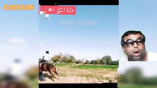 Best funny videos 2023 | Best funny videos | Punjabi funny videos | fun