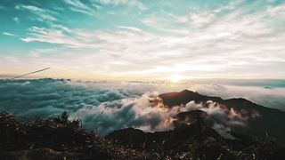 "Wild Wonders: Exploring the Hidden Marvels of Nature"
