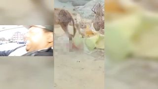Comedy | funny videos | funny tiktok videos