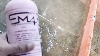 Em4+Molsae diTebar kekolam yang ada ikan lele nya boleh atau tidak❓Masih banyak yang GAGAL FAHAM