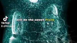 Harvesting the Fruits of Your Hard Work