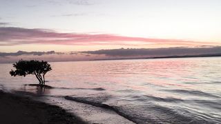 "Earth's Poetry: Unveiling the Captivating Verse of the Natural World"