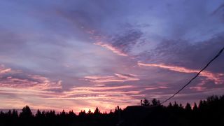 "Natural Serenity: An Ode to Nature's Beauty"