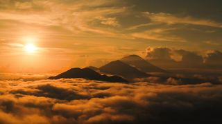 "Enchanting Wilderness: A Poetic Tribute to Nature's Elegance"