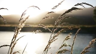 "Unveiling Eden: A Cinematic Exploration of Nature's Wonders"
