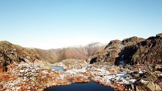 "Primordial Beauty: An Artistic Tribute to Nature's Majesty"