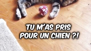 Petitou ramène la balle