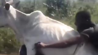 Bhai k jawab hi ni hain