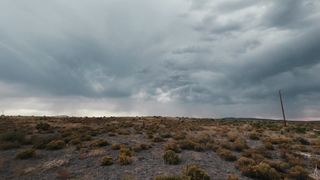 "Uncharted Elegance: A Cinematic Expedition into Nature's Charms"