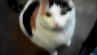 Pinku playing with choco n my wife