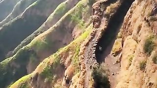 الفرقان¹????️ماہر المعیقلی????