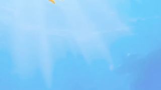 Temu games free gifts, collect fish