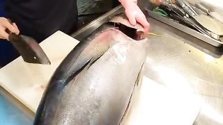 YELLOWFIN Fish CUTTING Abilities