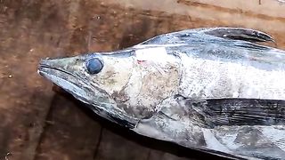 A Whole Swordfish Cutting - Taiwan