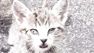 bébé, déjà 5 ans de bêtises ???? .