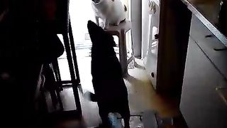 Choco n pinku sweet fighting