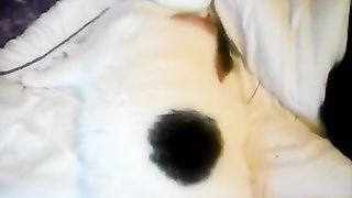 Pinku n choco enjoying sleep