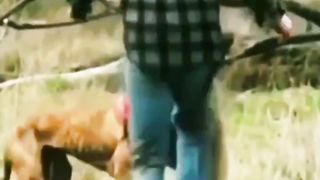 The kangaroo has taken the dog captive OMG!