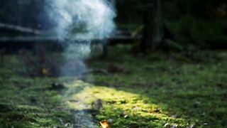 fire short video
