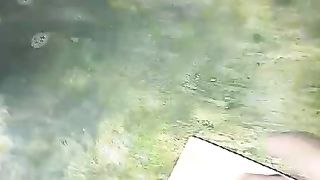 Resiko pembenihan lele dikolam beton itu LUMUT cepat sekali tumbuh