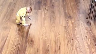 Funny Monkey Viral Video 93