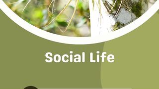 Social Media its Impact with Positive and NegativeAspects 4