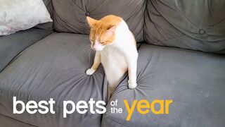 Best Pets of the Year...So Far (2021