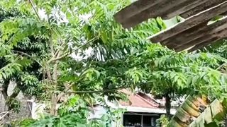 7 sayuran penurun kolesterol