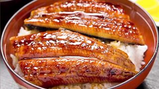 Unagi Kabayaki