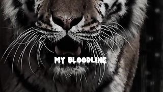 Nobody can stop me! . . . . .