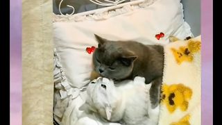 Tejo is heartbroken by being cheated on#fyp