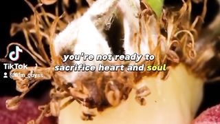 getting rich requires sacrifice