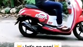 The cat excitement is always going for a ride on a motorbike