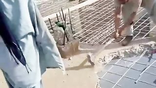 hard work 2
