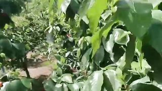 成都老阿姨 6