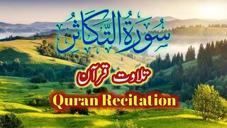 Surah at Takasur | Tilawat e Quran | Quran Recitation