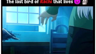 Anime badass moment 5