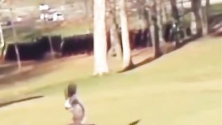 Eagle attack 2