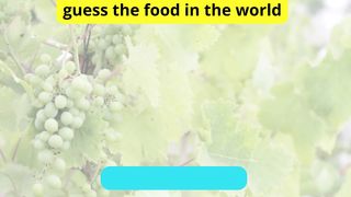 Guess the food in the world 7