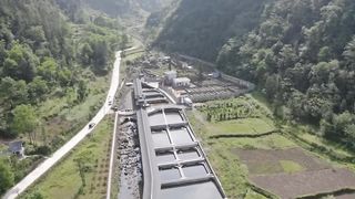 Giant Salamander Farming in China - Harvesting and Processing Salamander Meat