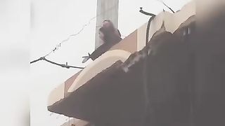 Palastine after attack rocket of Israel