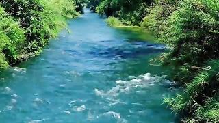 Beautiful Scenery 15