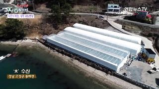 shrimp farming 2