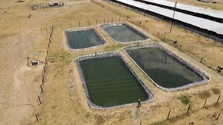 Profeeds Aquafeeds FIsh Farming Master Class