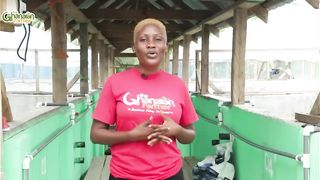 How My Brother Spend Over 250k Cedis To Setup Our 20,000.00 Capacity Catfish Farm In Ghana 2