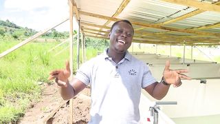 I left Europe after 30years to start a farm in Ghana 2