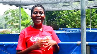 How To Start Successful Caged Tilapia Fish Farming Business As A Beginner In Ghana (DETAILED) 2023 (1