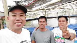 No Change of Water upto Harvest in Tilapia Farming using Biofloc Technology