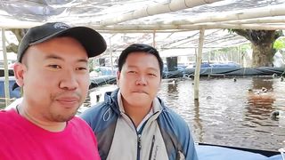 BIOFLOC TECHNOLOGY in Tilapia Farming 8,500 Heads in 50sqm Pond