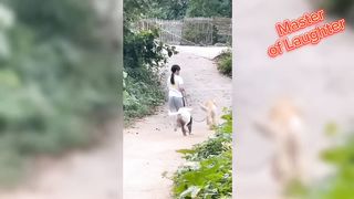 Try Not To Laugh Funny VideosComedy Moments Funny VideoFunniest Moments - Fails Videos 2